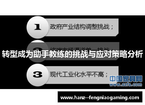 转型成为助手教练的挑战与应对策略分析
