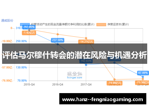 评估马尔穆什转会的潜在风险与机遇分析