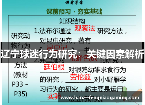 辽宁球迷行为研究：关键因素解析