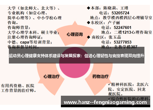 运动员心理健康支持体系建设与发展探索：促进心理韧性与竞技表现双向提升