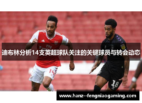 迪布林分析14支英超球队关注的关键球员与转会动态