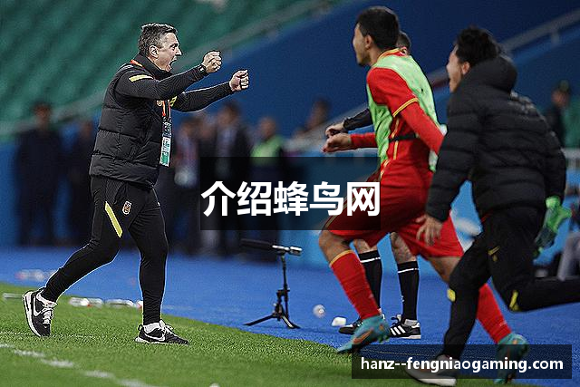 介绍蜂鸟网